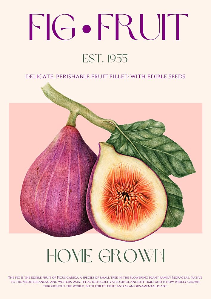 Fresh Fig Botanical Art art print by Nazma Khokhar for $57.95 CAD