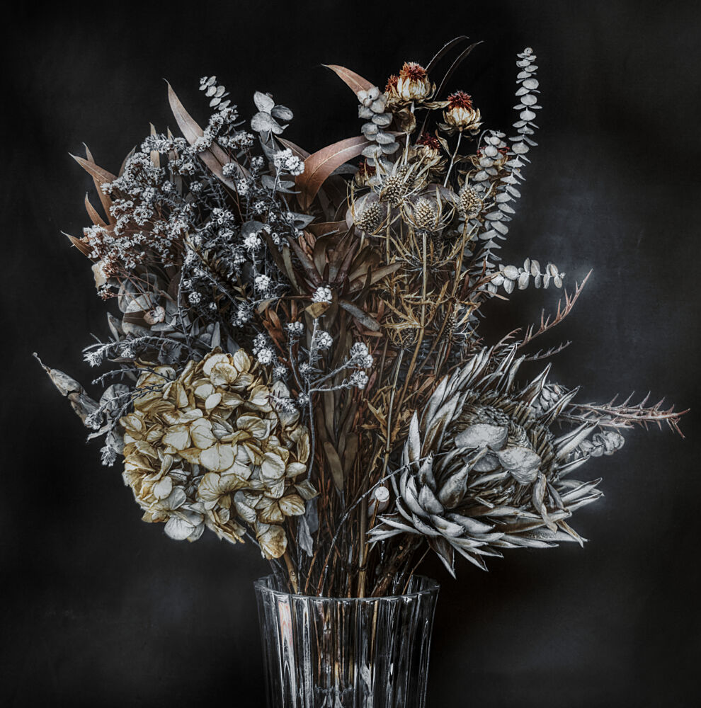 Elegant Dried Flowers art print by Unknown for $57.95 CAD