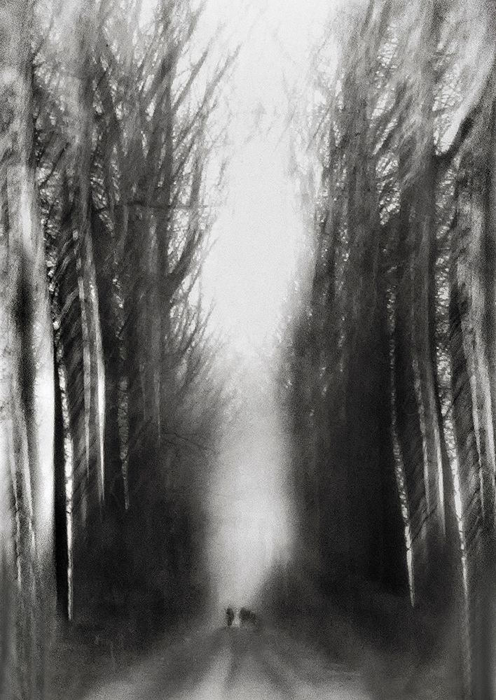 Cezannes Walk art print by Yvette Depaepe for $57.95 CAD
