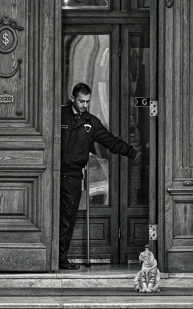 Doorman and Curious Cat art print by Serdar Bayram for $57.95 CAD