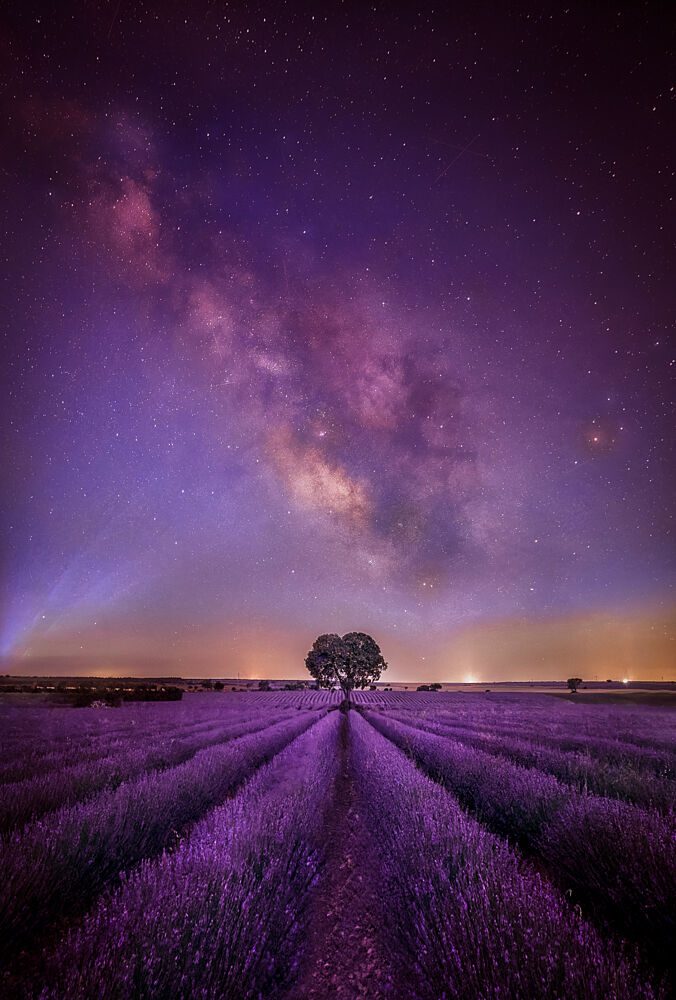 Lavender Field Milky Way art print by Juan Luis Seco for $57.95 CAD