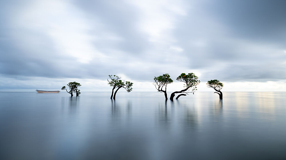 Still Water Trees Boat art print by Wenjin Yu for $57.95 CAD