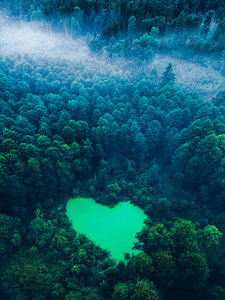 Misty Heart Forest art print by Oskar Ulvur for $57.95 CAD