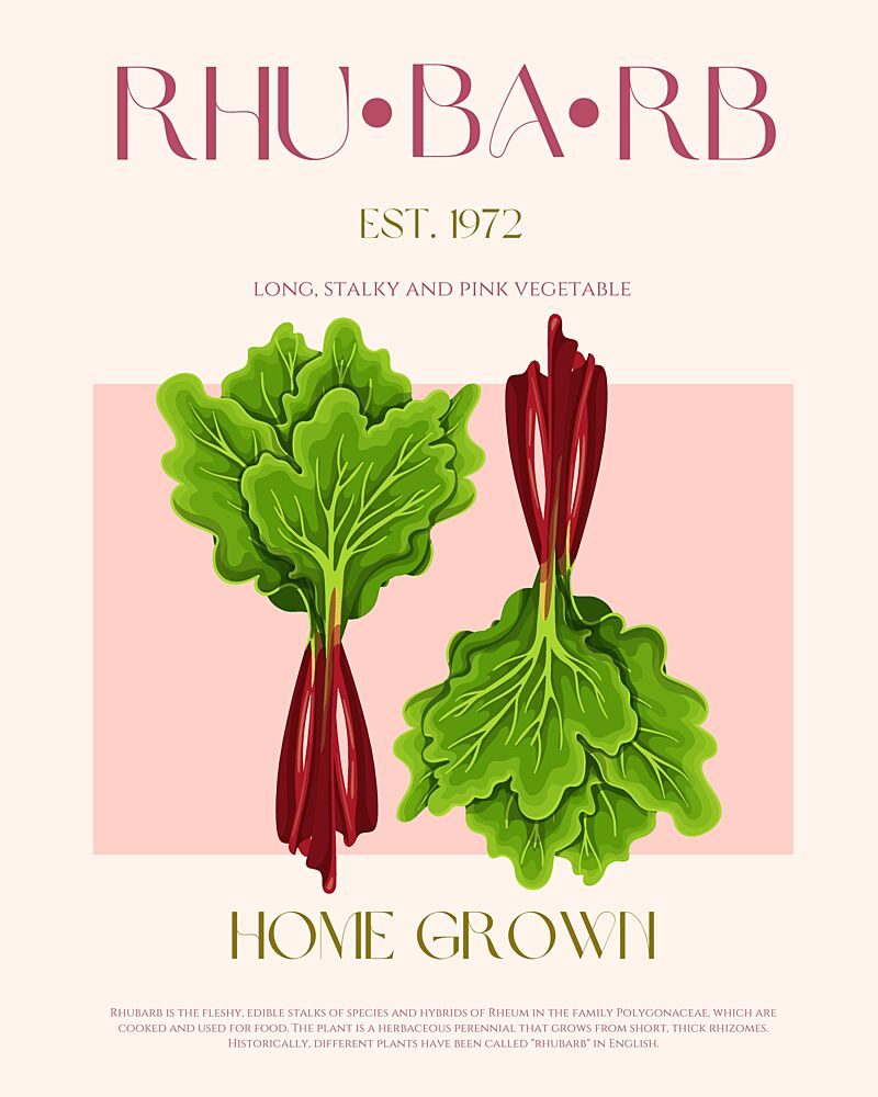 Rhubarb Print art print by Nazma Khokhar for $57.95 CAD