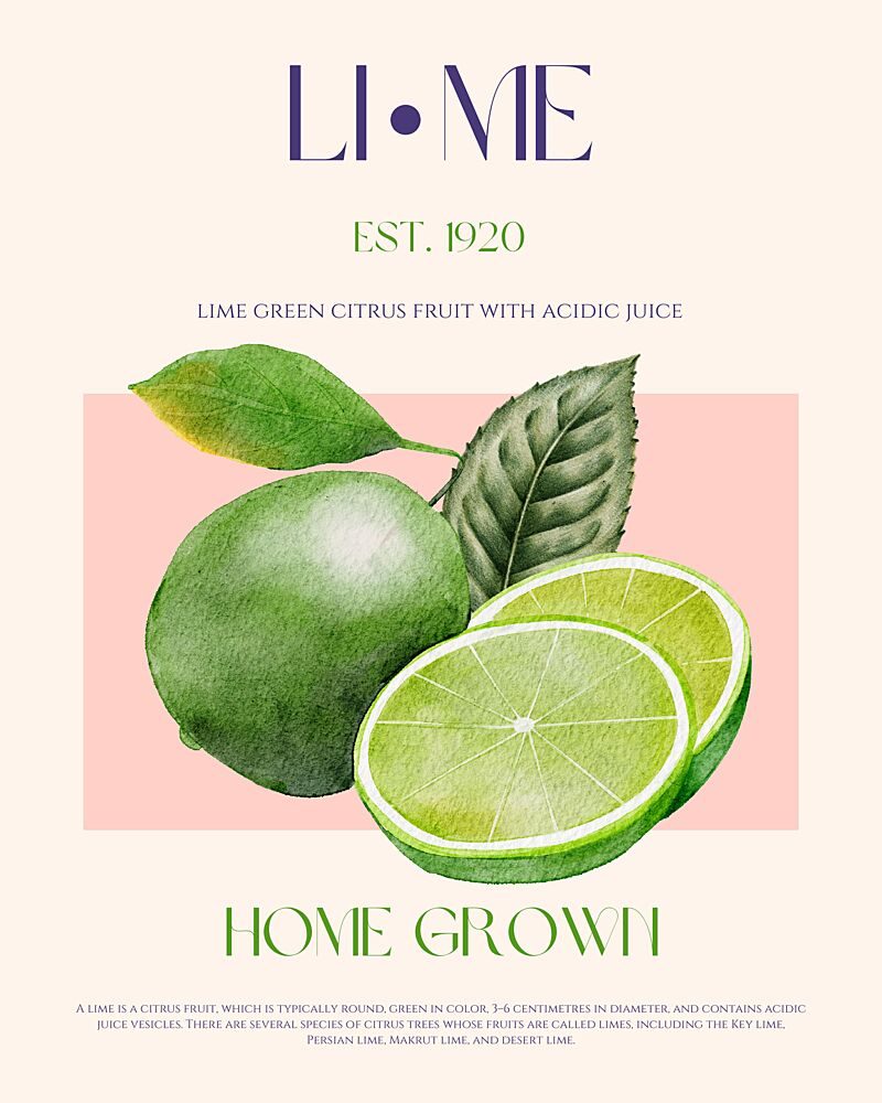 Fresh Green Limes art print by Nazma Khokhar for $57.95 CAD
