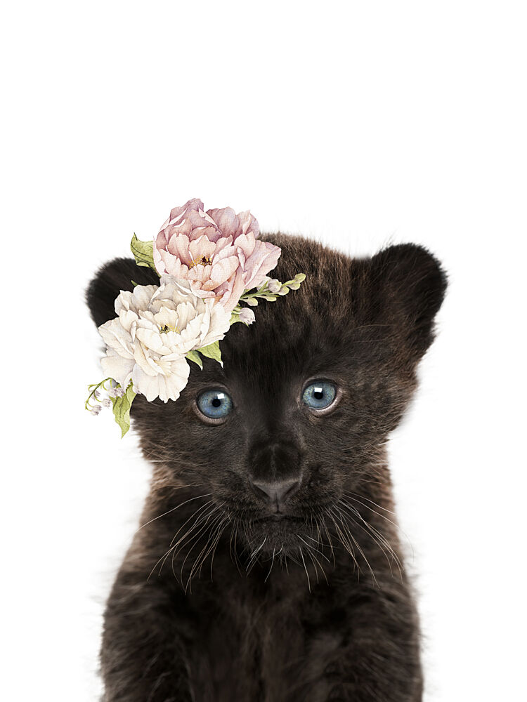 Black Panther Flower Crown art print by Lila and Lola for $57.95 CAD