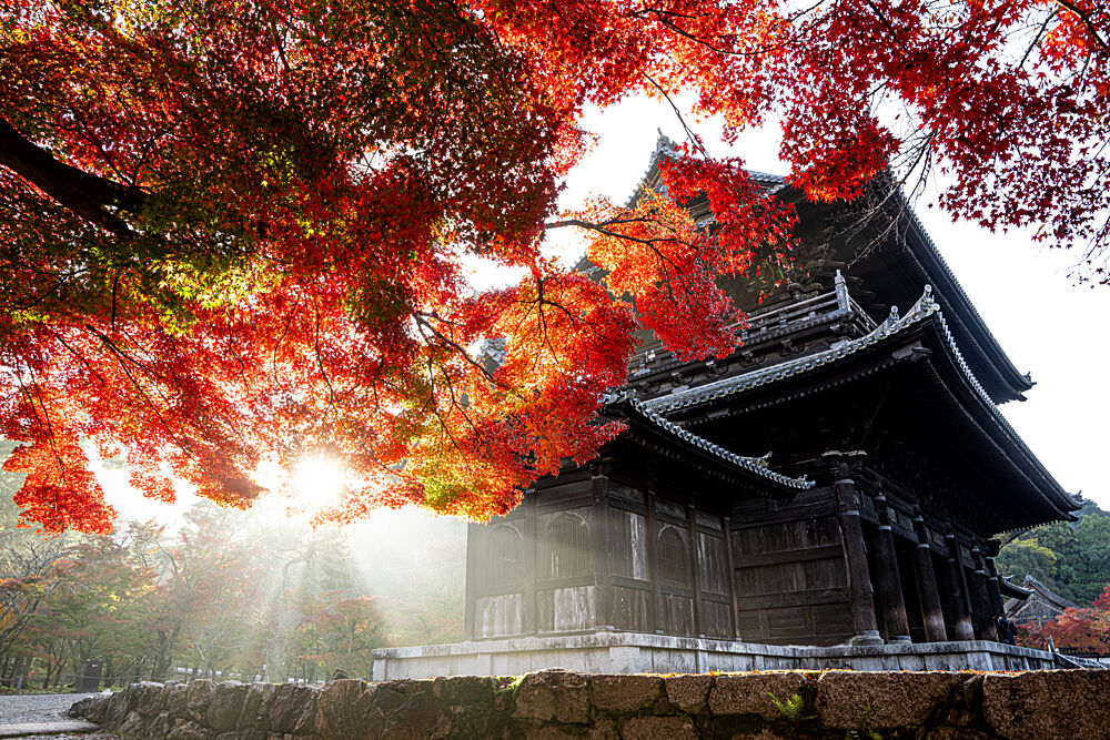 Autumn Temple Sunlight art print by Hitomi Hirosuke for $57.95 CAD