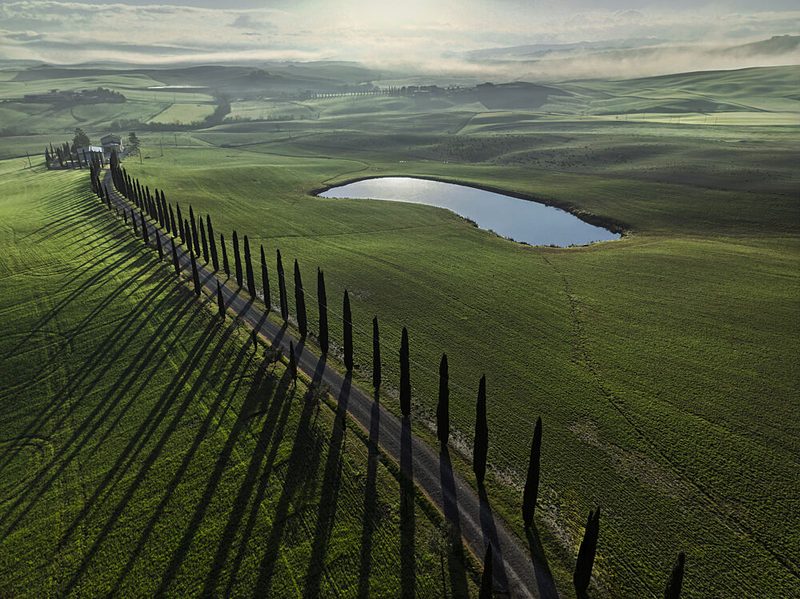 Cypress Road Shadows art print by Jure Kravanja for $57.95 CAD