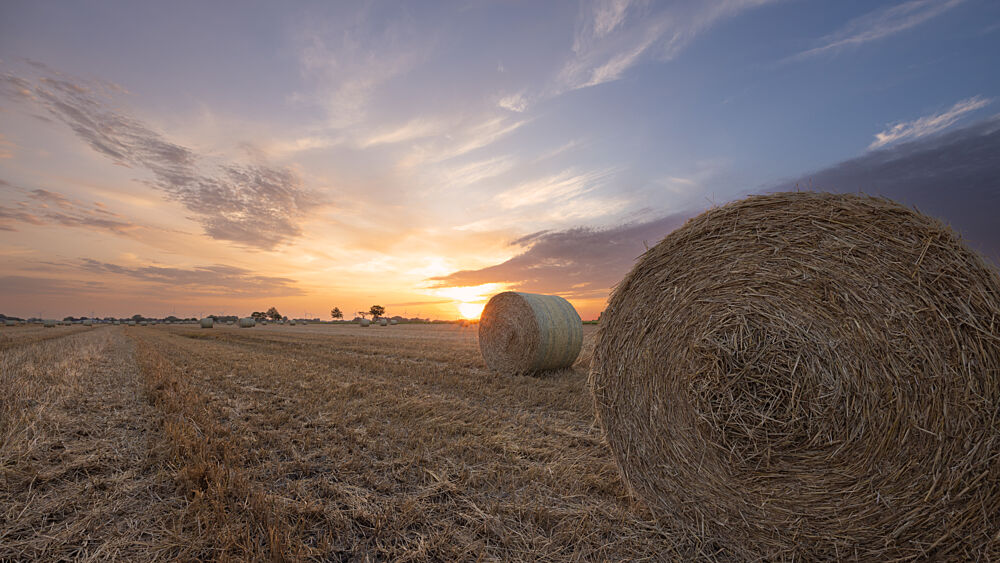 Golden Hour Hay Field art print by Ralf Steinberg for $57.95 CAD