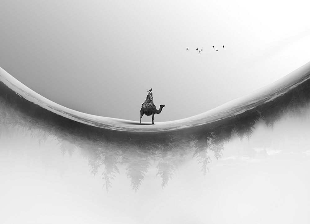 Misty Camel Journey art print by Hadi Malijani Malenjani for $57.95 CAD