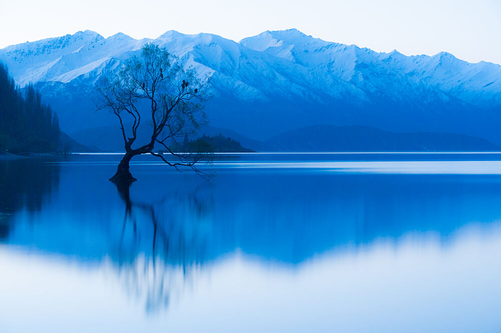 Lone Tree Lake Reflection art print by Hugh Warren for $57.95 CAD