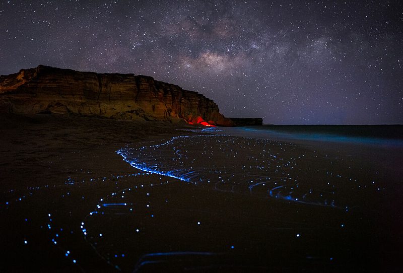 Bioluminescent Night Beach art print by Khalid Jamal for $57.95 CAD