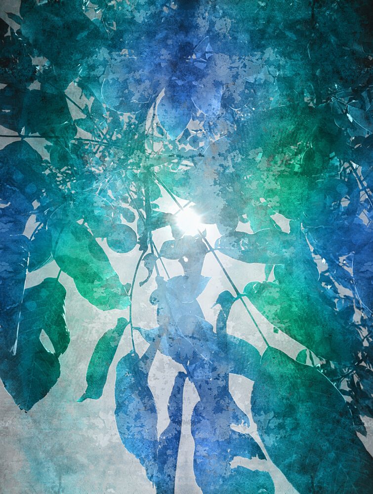 Ethereal Blue Green Leaves art print by Angelo Cerantola for $57.95 CAD