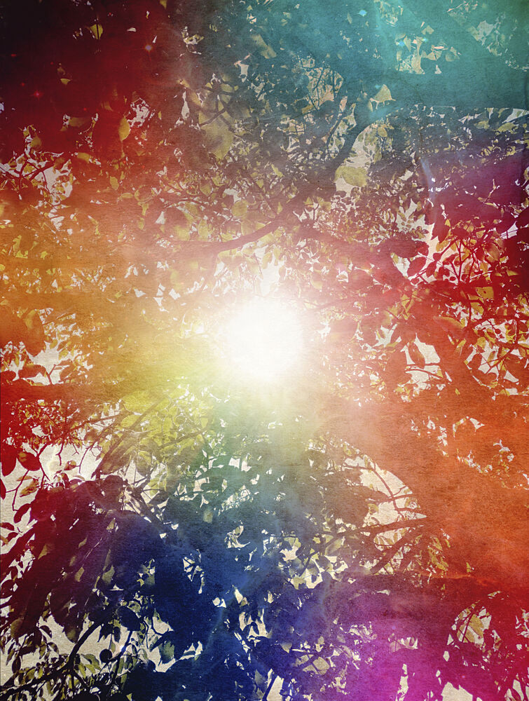 Rainbow Sunlight Through Trees art print by Angelo Cerantola for $57.95 CAD