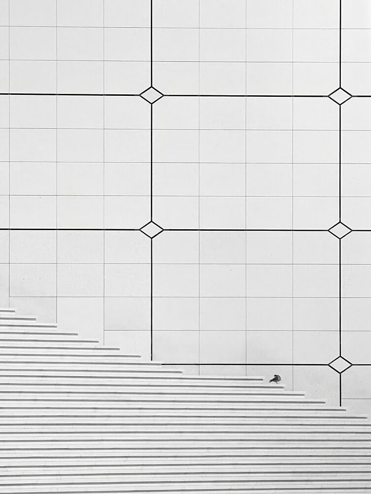 Bird on Geometric Staircase art print by Frank Bruynseraede for $57.95 CAD