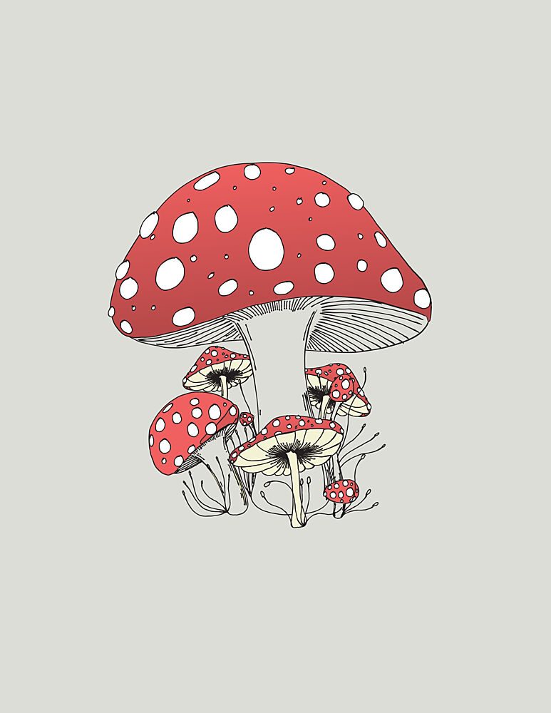 Fairytale Mushroom Cluster art print by Nicholas for $57.95 CAD