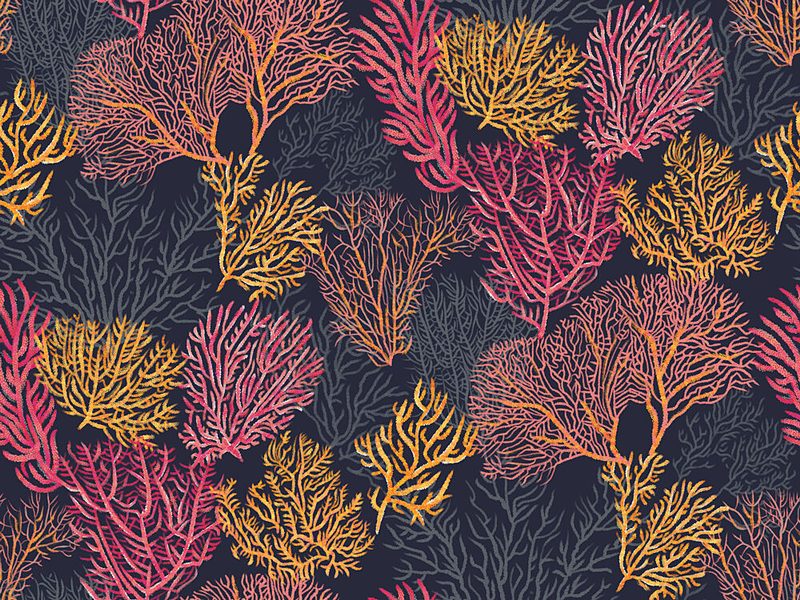 Colorful Coral Pattern art print by Alexandra Weise for $57.95 CAD