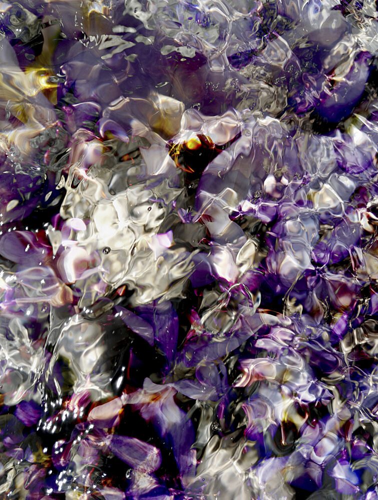 Purple Water Ripples art print by Angelo Cerantola for $57.95 CAD