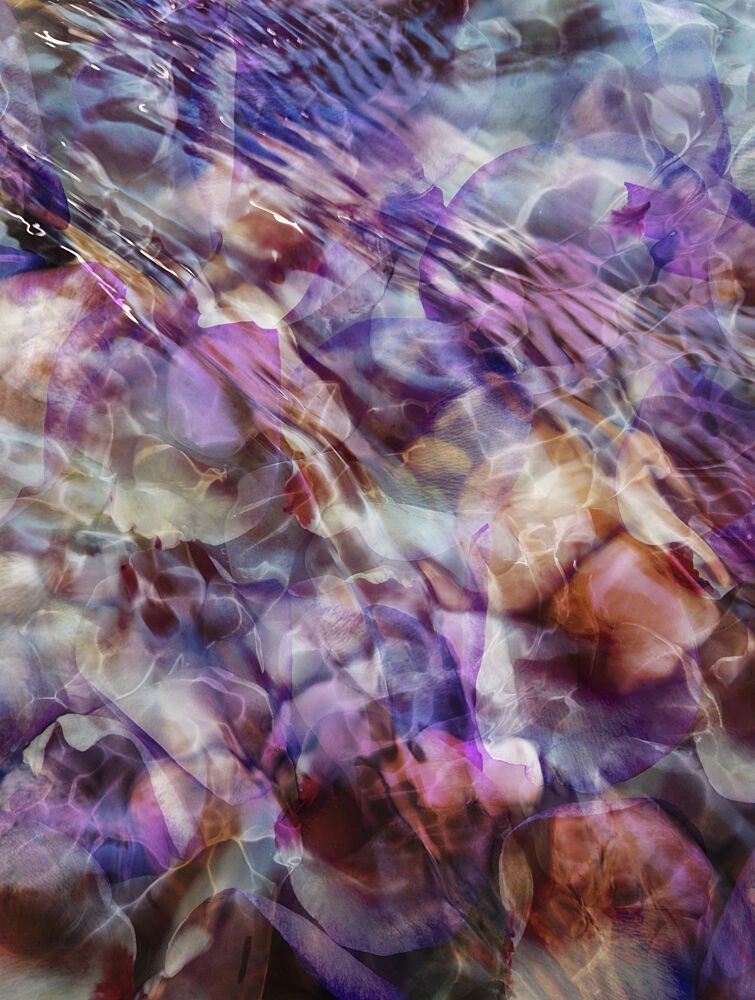 Fluid Purple Reflections art print by Angelo Cerantola for $57.95 CAD