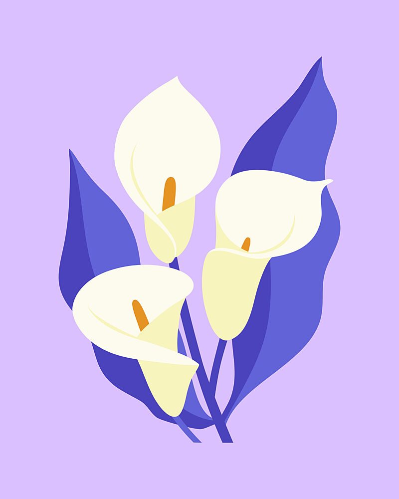 Elegant Calla Lilies art print by Artprink for $57.95 CAD