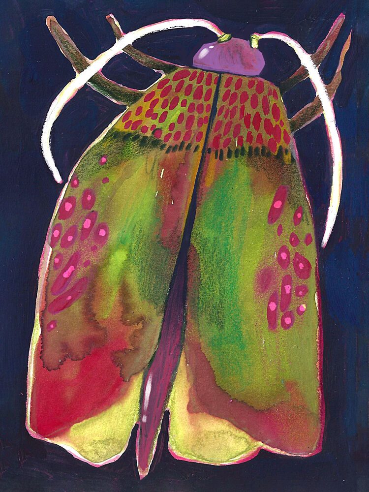 Moth art print by Olga Skomorokhova for $57.95 CAD