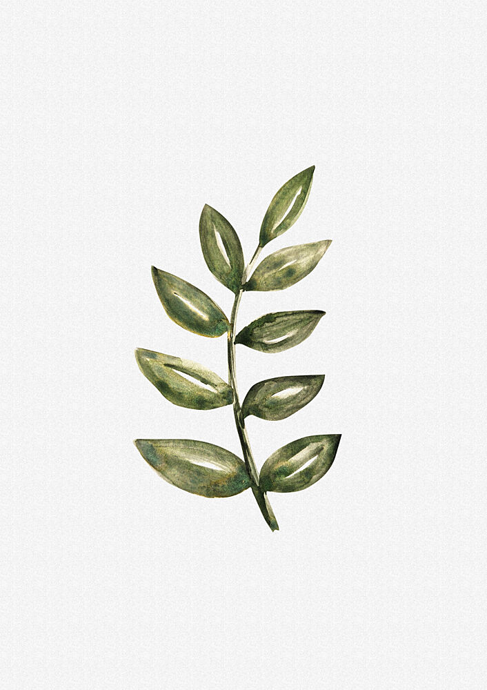 Delicate Green Foliage art print by Olena Kovalova for $57.95 CAD