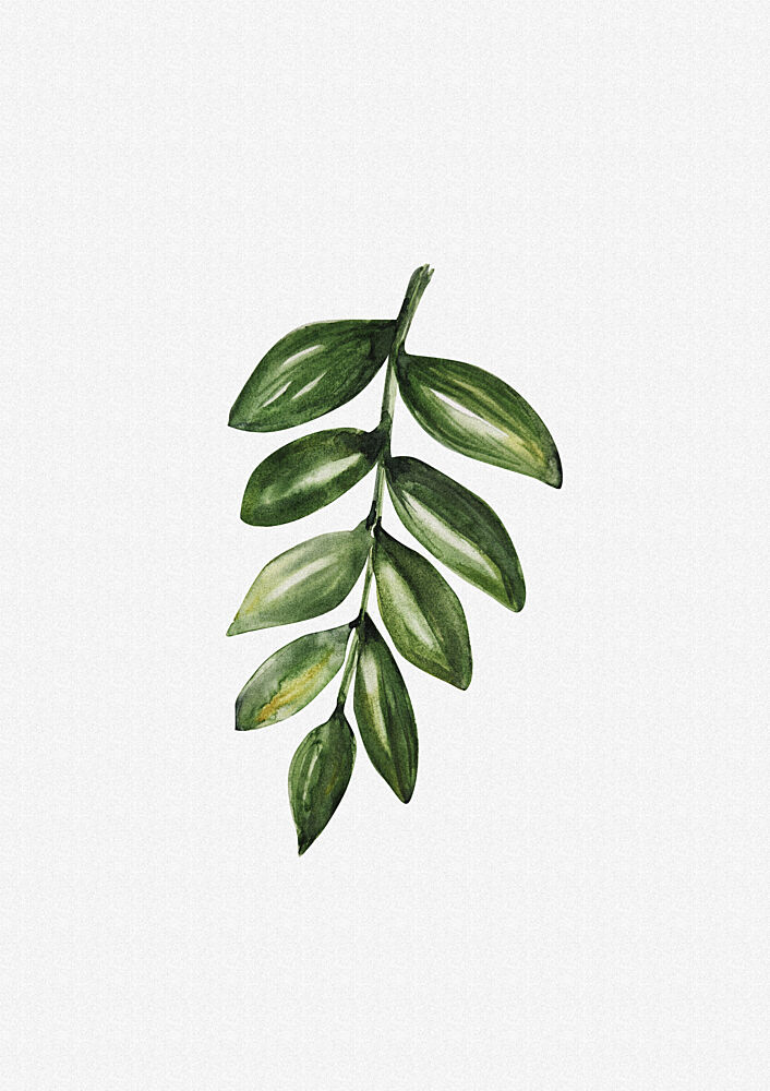 Fresh Green Leaf Branch art print by Olena Kovalova for $57.95 CAD