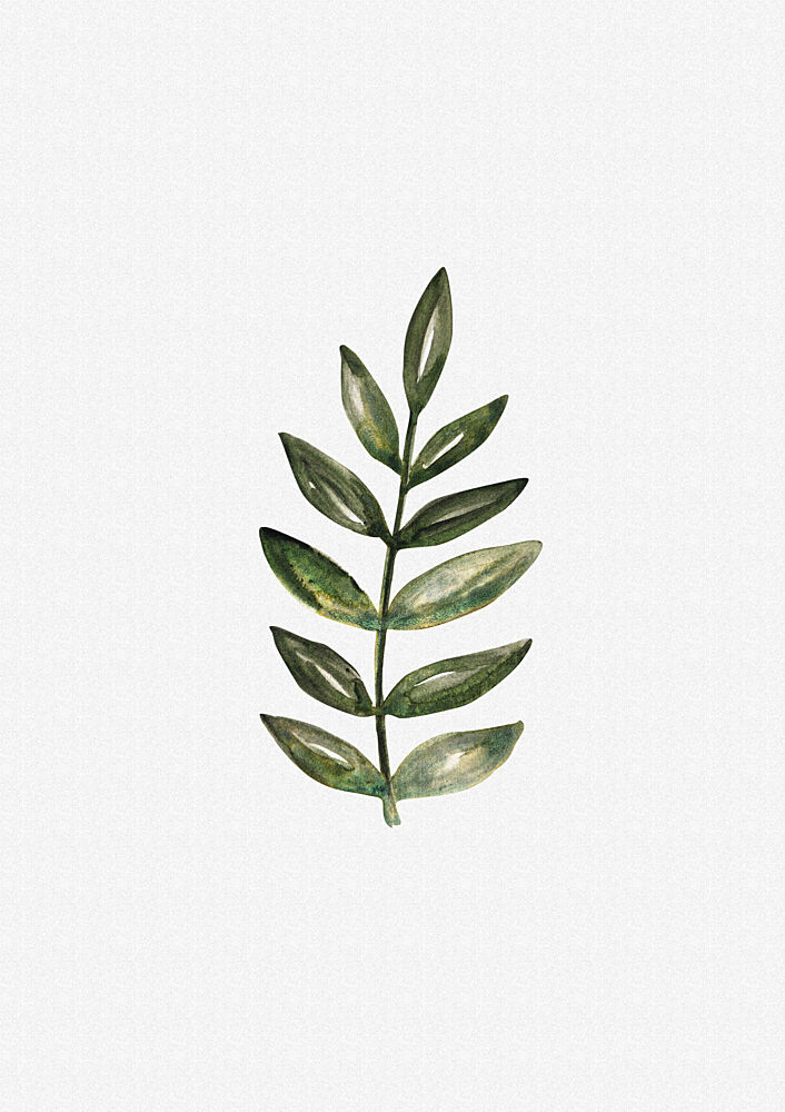 Watercolor Olive Branch art print by Olena Kovalova for $57.95 CAD