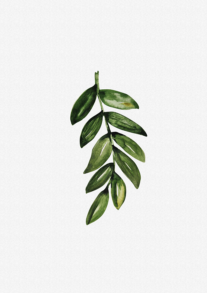 Watercolor Green Botanical Sprig art print by Olena Kovalova for $57.95 CAD