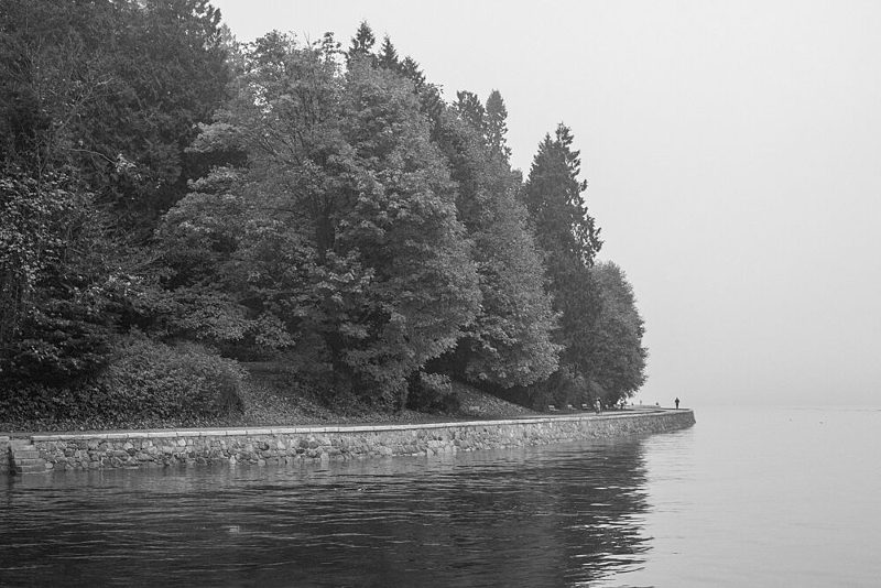 Misty Lakeside Path art print by Lynann Colligan for $57.95 CAD