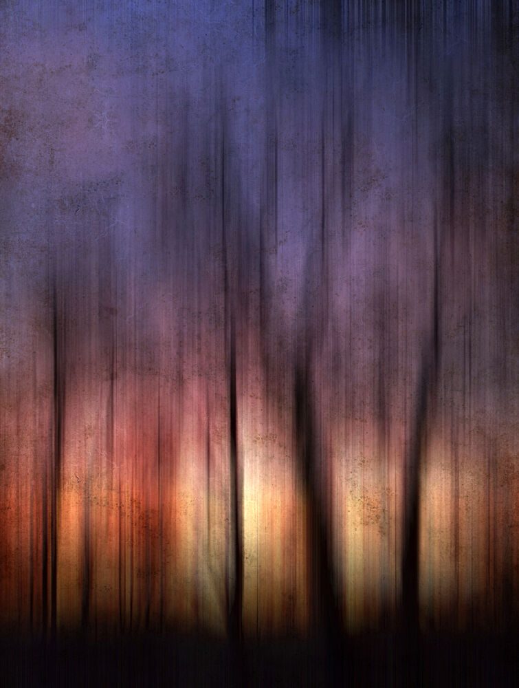 Abstract Forest Sunset art print by Angelo Cerantola for $57.95 CAD
