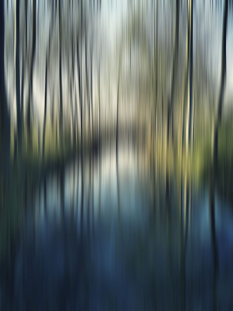 Blurred Forest Reflections art print by Angelo Cerantola for $57.95 CAD