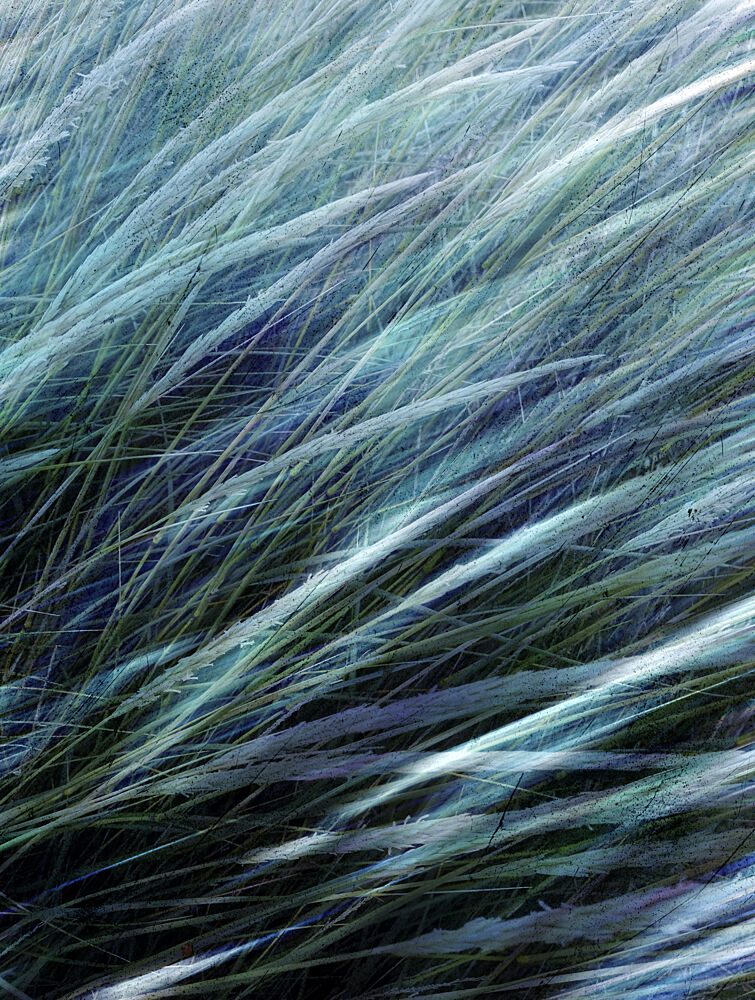 Flowing Teal Grass art print by Angelo Cerantola for $57.95 CAD