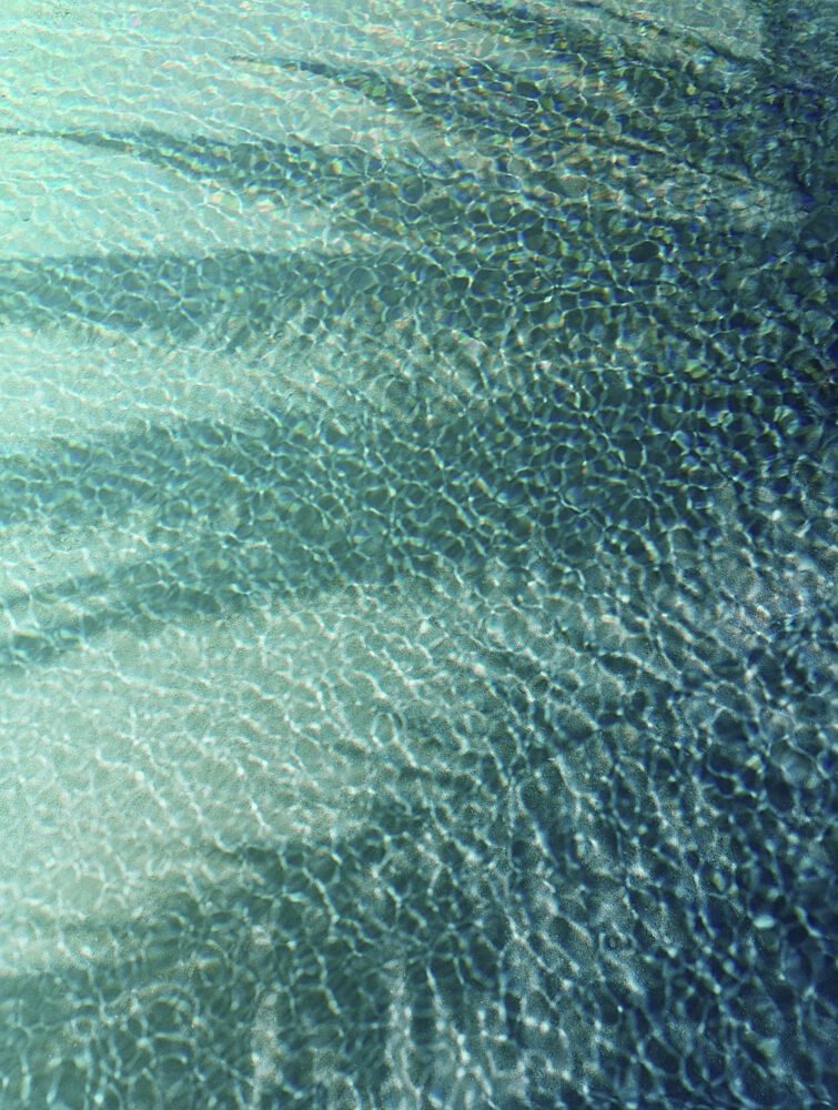 Sunlit Water Patterns art print by Angelo Cerantola for $57.95 CAD