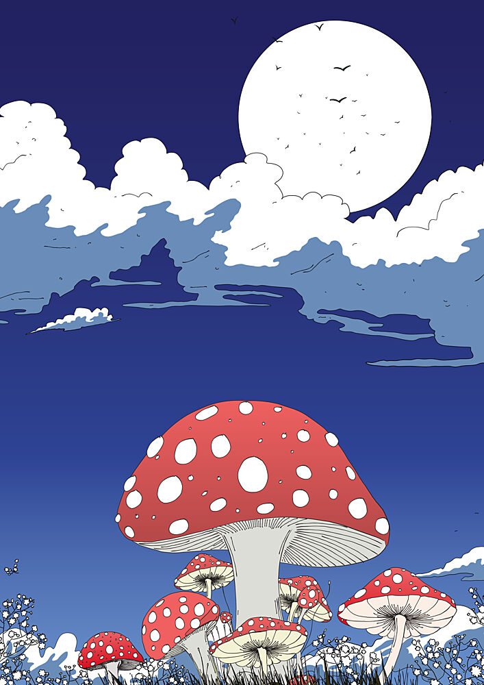 Moonlit Mushroom Night art print by Nicholas for $57.95 CAD
