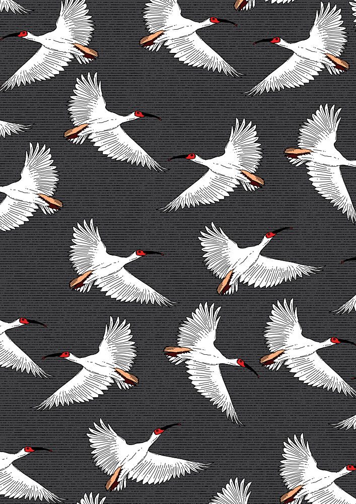 Graceful White Birds Flying art print by Nicholas for $57.95 CAD