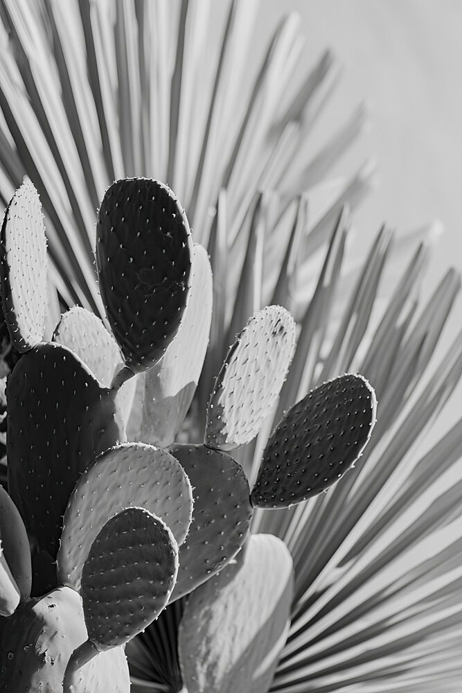 Cactus Poem No 01 art print by Treechild for $57.95 CAD