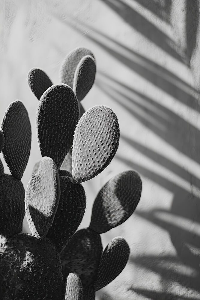 Cactuspoemno03 art print by Treechild for $57.95 CAD