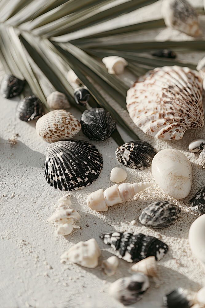 Shellstoriesno04 art print by Treechild for $57.95 CAD