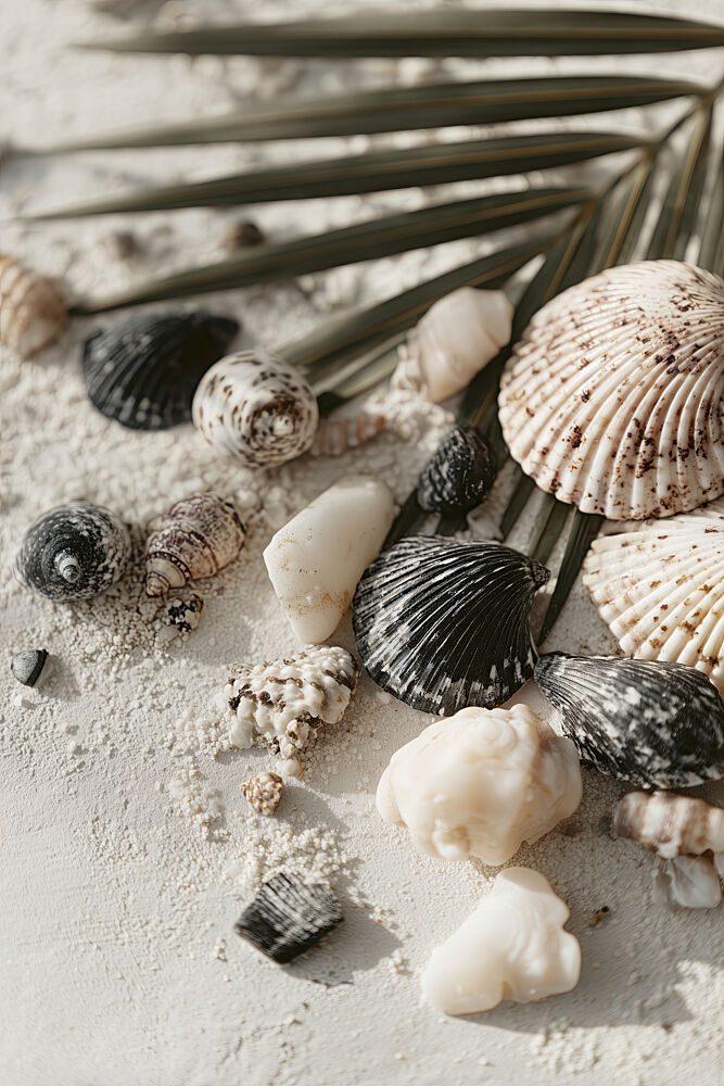 Shell Stories No 03 art print by Treechild for $57.95 CAD