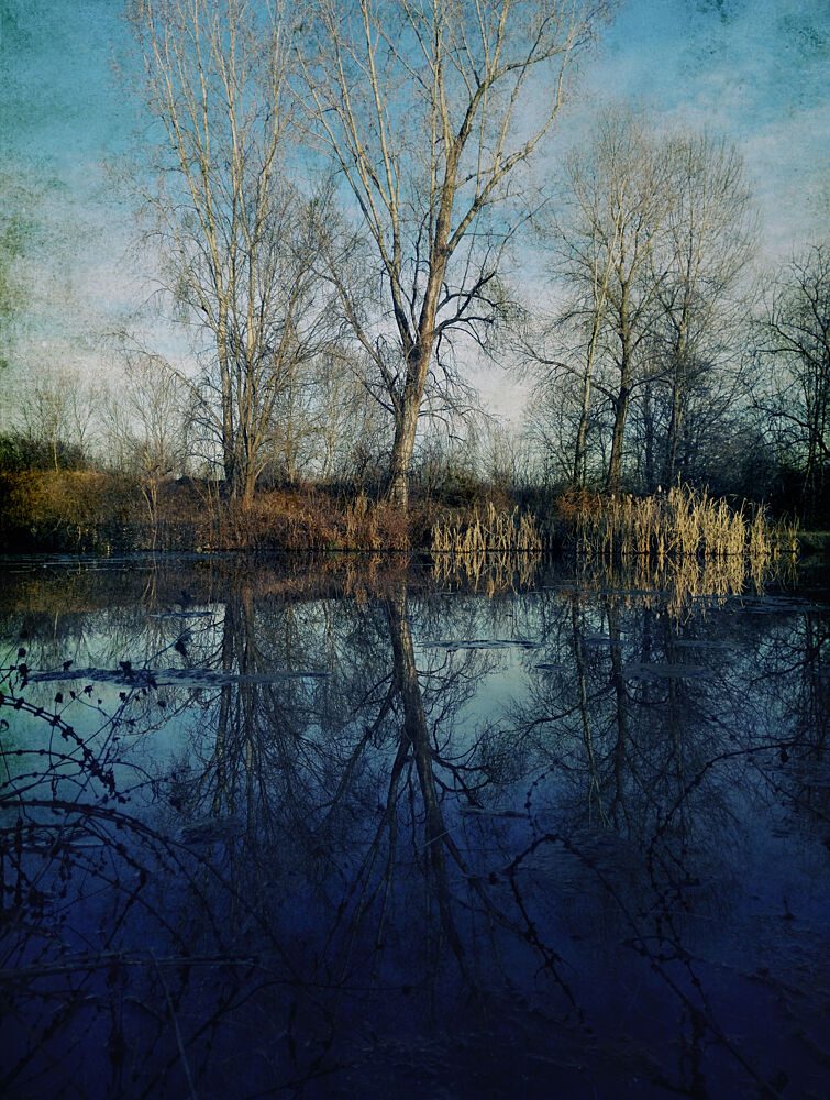 Tranquil Winter Reflections art print by Angelo Cerantola for $57.95 CAD