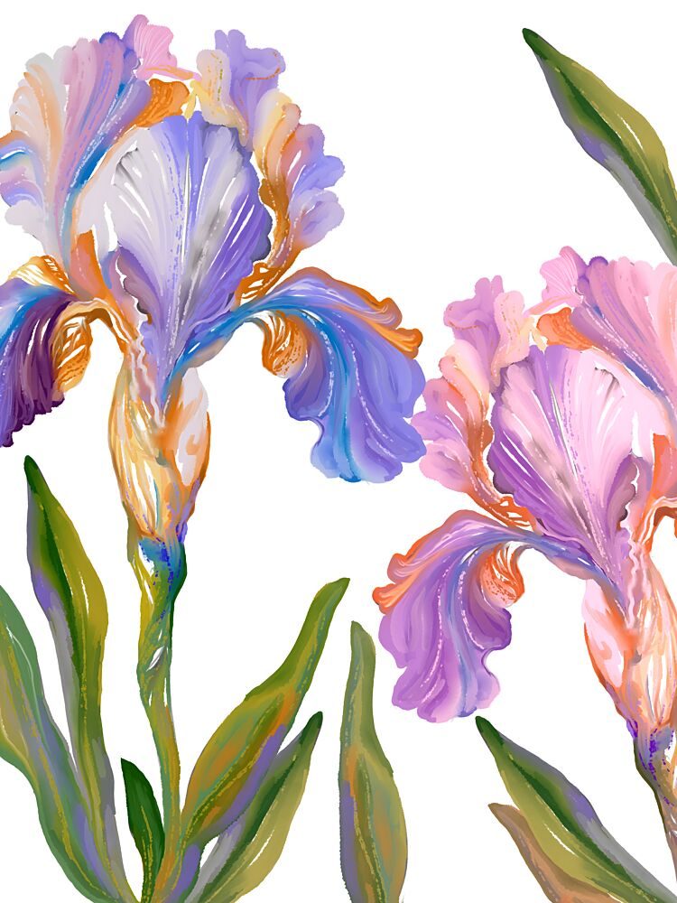 Colorful Iris Blooms art print by Josie George for $57.95 CAD