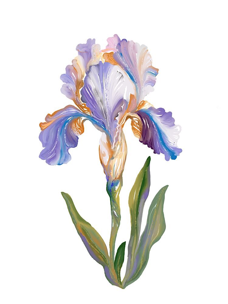 Vibrant Painterly Iris art print by Josie George for $57.95 CAD