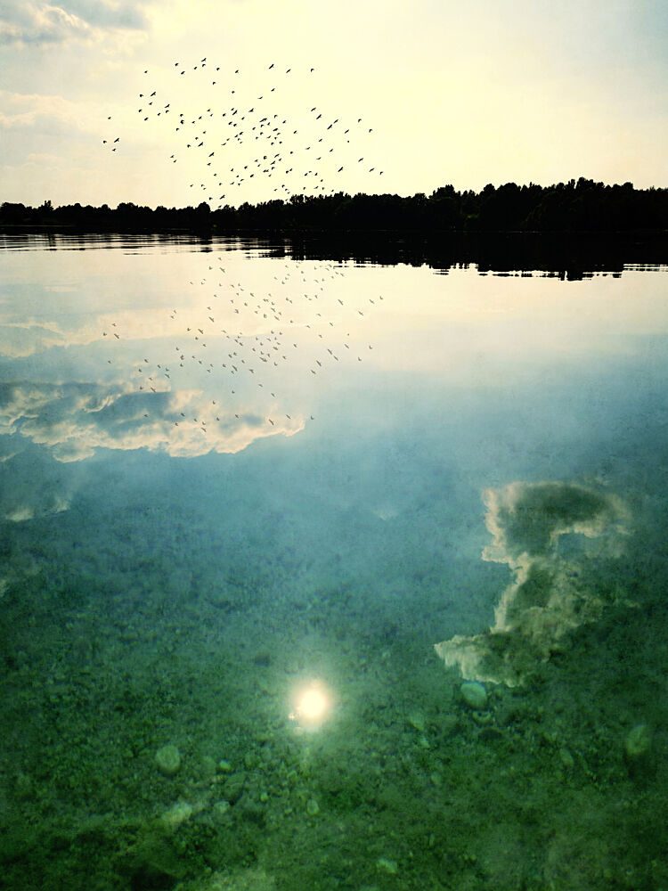 Birds over Tranquil Lake art print by Angelo Cerantola for $57.95 CAD