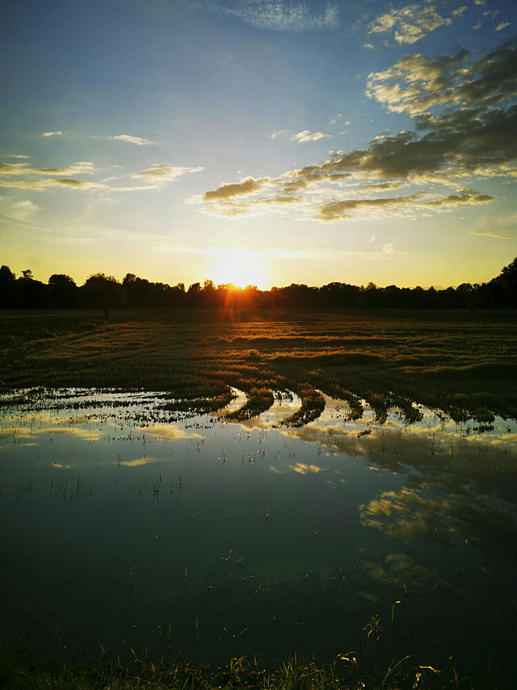 Golden Hour Reflections art print by Angelo Cerantola for $57.95 CAD
