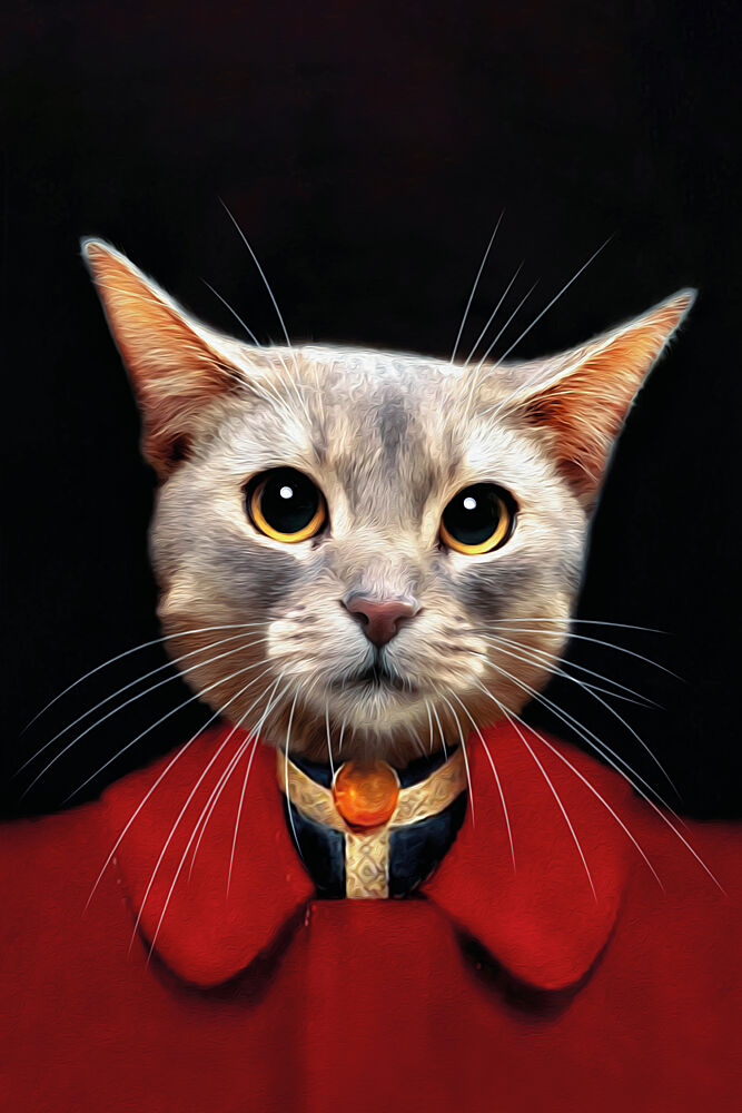 Bicky art print by Tein Lucasson for $57.95 CAD