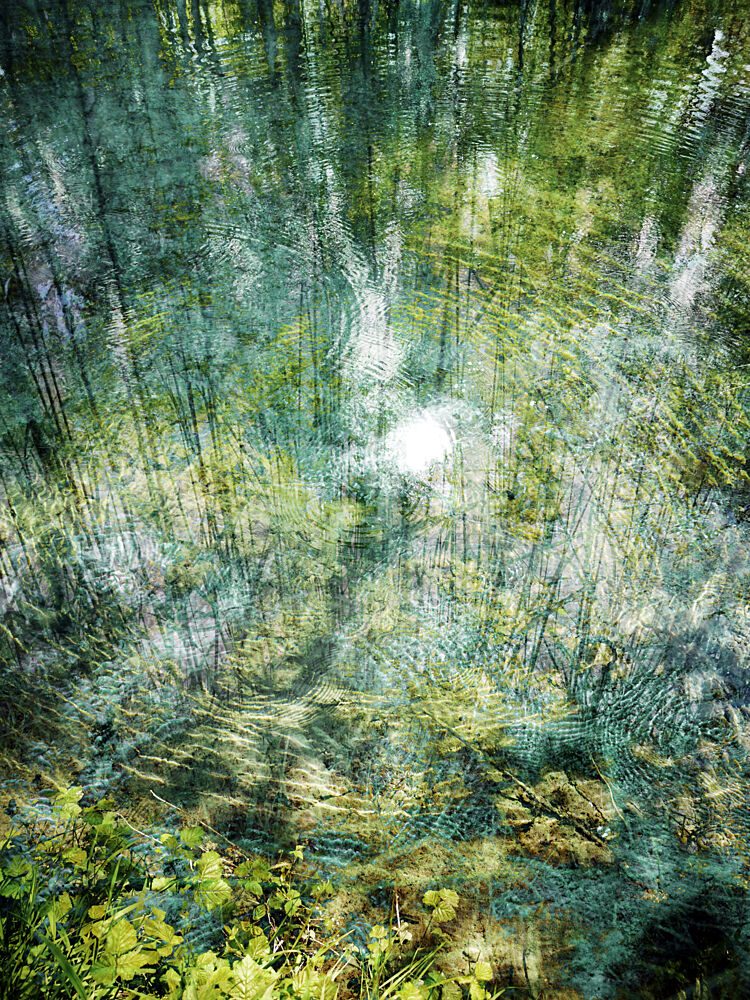 Rippling Forest Reflection art print by Angelo Cerantola for $57.95 CAD