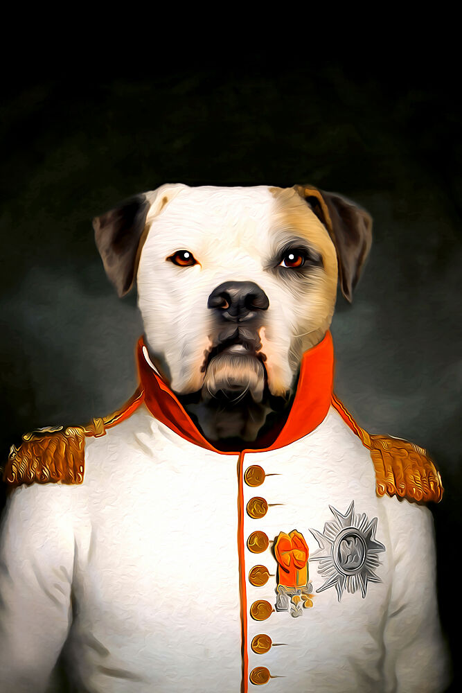 Mozart art print by Tein Lucasson for $57.95 CAD