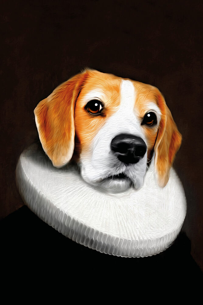 Daisy2 art print by Tein Lucasson for $57.95 CAD