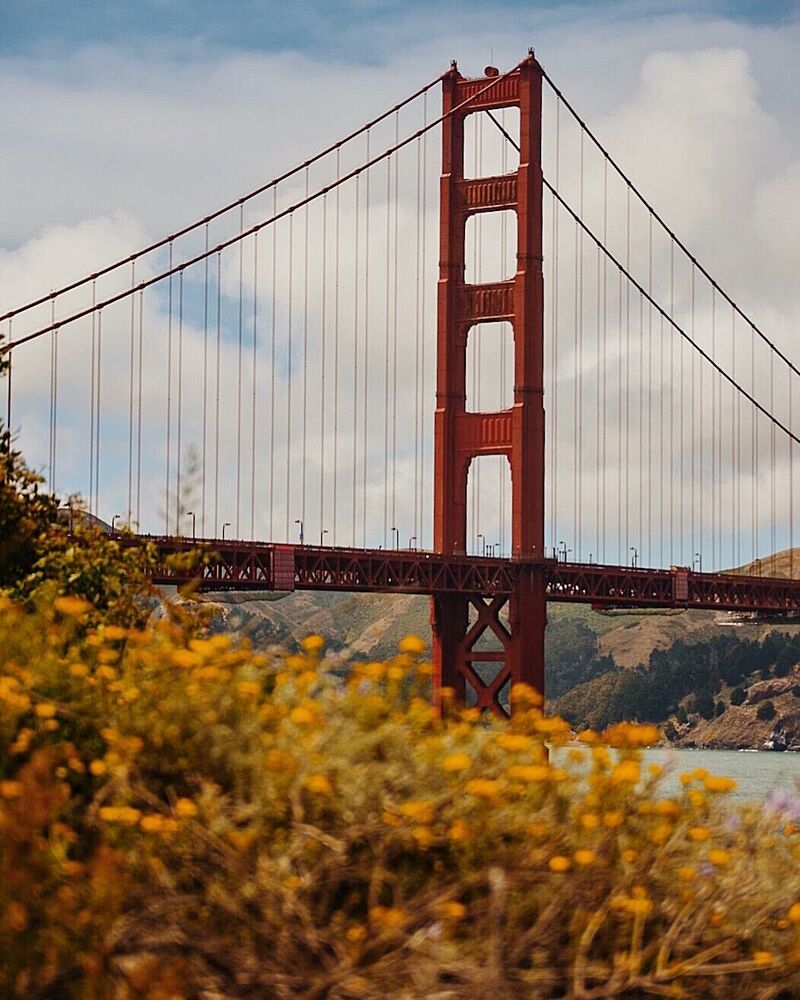 San Francisco Golden Gate Bridge art print by del Mundo Imagery for $57.95 CAD